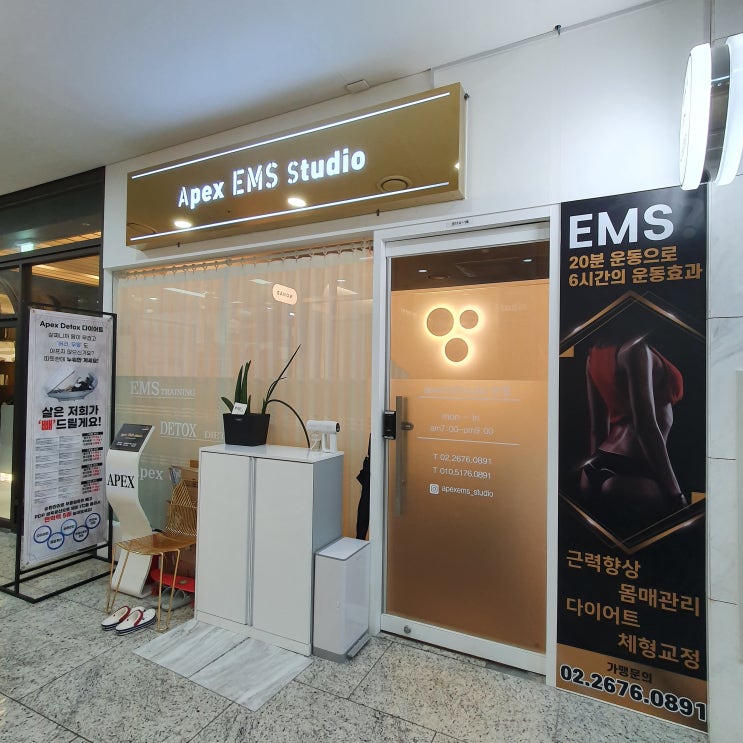  [용산 다이어트] 누워서 살뺀 쉬운 다이어트, 창업 아이템으로도 굿!(에이펙스이엠에스스튜디오(apexems studio)후기)