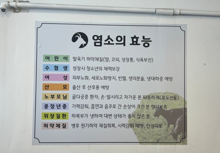 무등골흑염소 사진 5