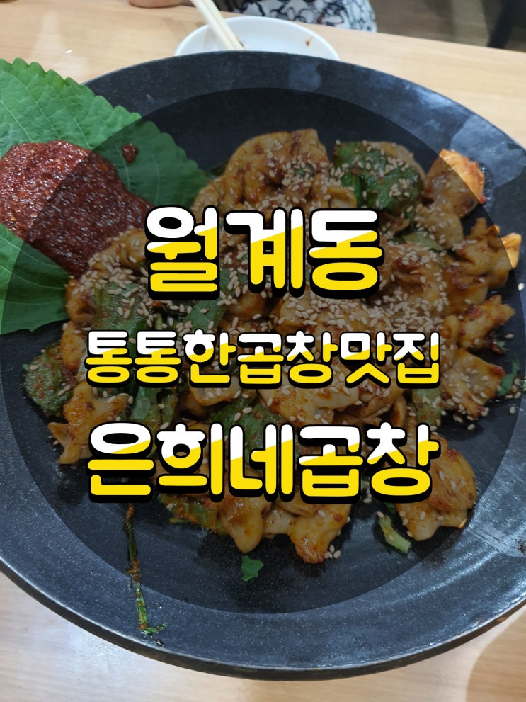  [월계맛집]은희네곱창ㅣ숨겨진 월계동곱창맛집, 집에 바로 가기 꿀꿀한 날 소주 한잔 하기 좋은 곳