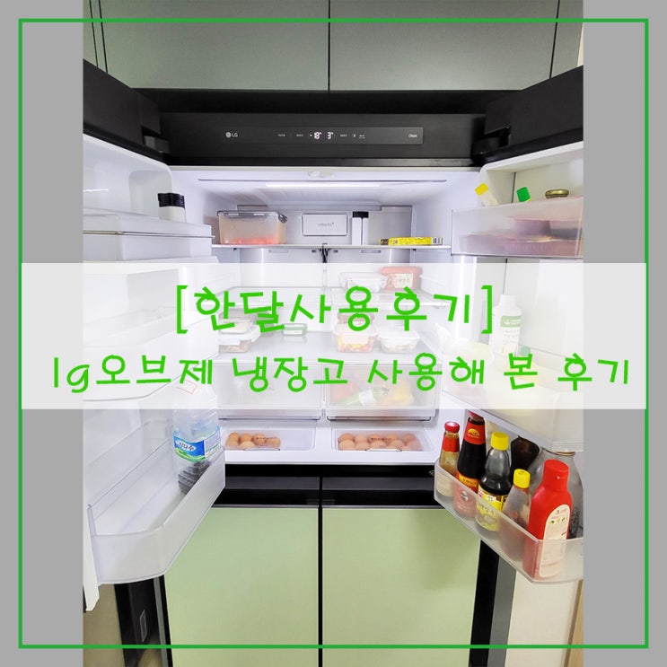 [한 달 사용 후기] lg오브제 냉장고 사용해 본 후기