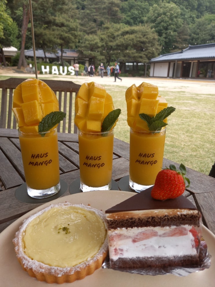 [양평 서종 카페] <b>이영애</b>의 작업실이었던 '하우스 베이커리... 