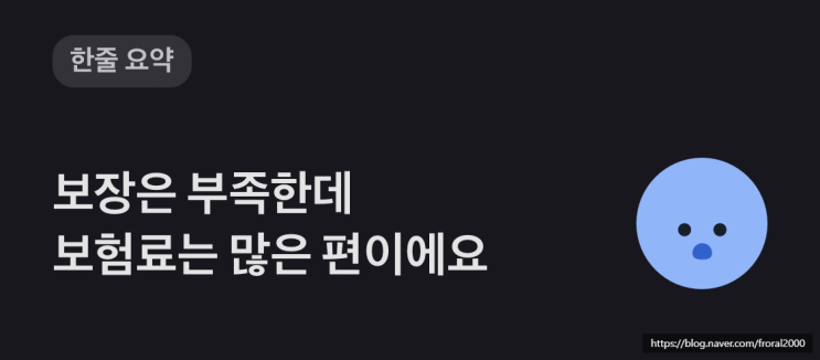  월 보험료가 이렇게 많이 나가고 있었어? 내게 부족한 보험은
