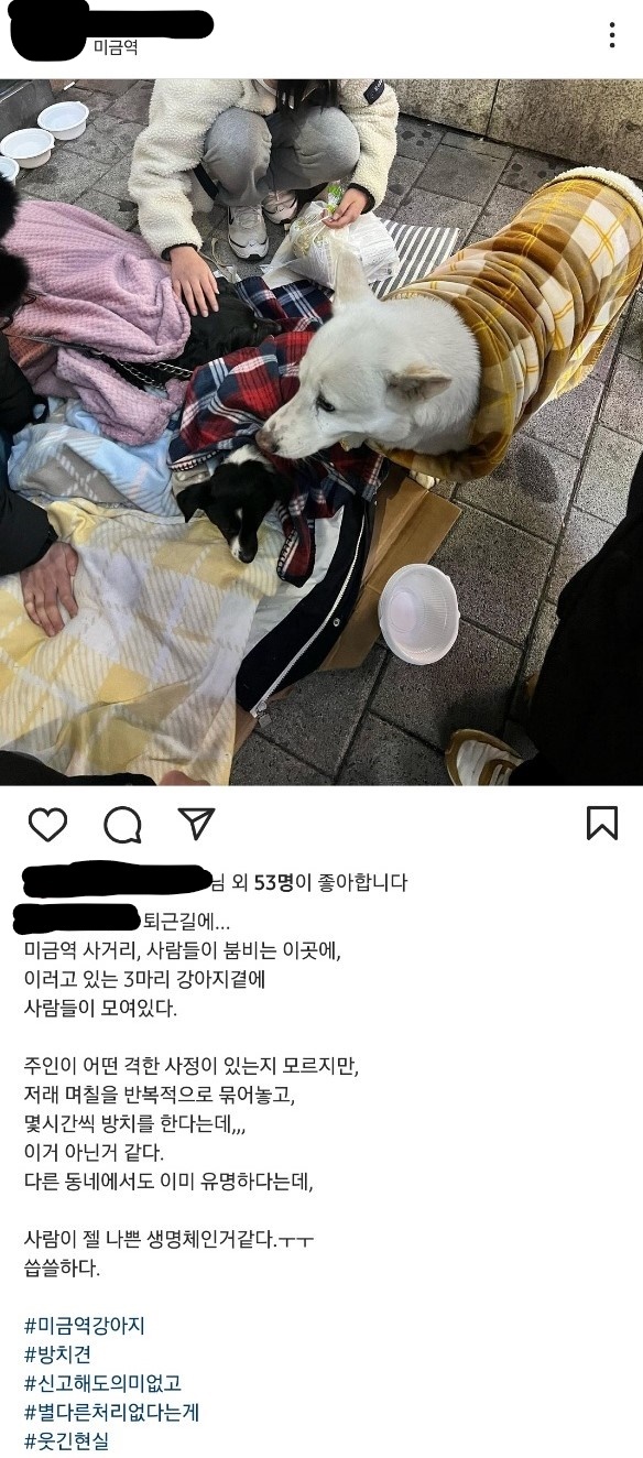 미금역 버스정류장 강아지들 경산 능소화나무 절단 미스터리 범인 할아버지 집을 뺏으려는 여자 궁금한이야기Y 미금역 버스정류장 강아지들 경산 능소화나무 절단 미스터리 범인 할아버지 집을 뺏으려는 여자 궁금한이야기Y