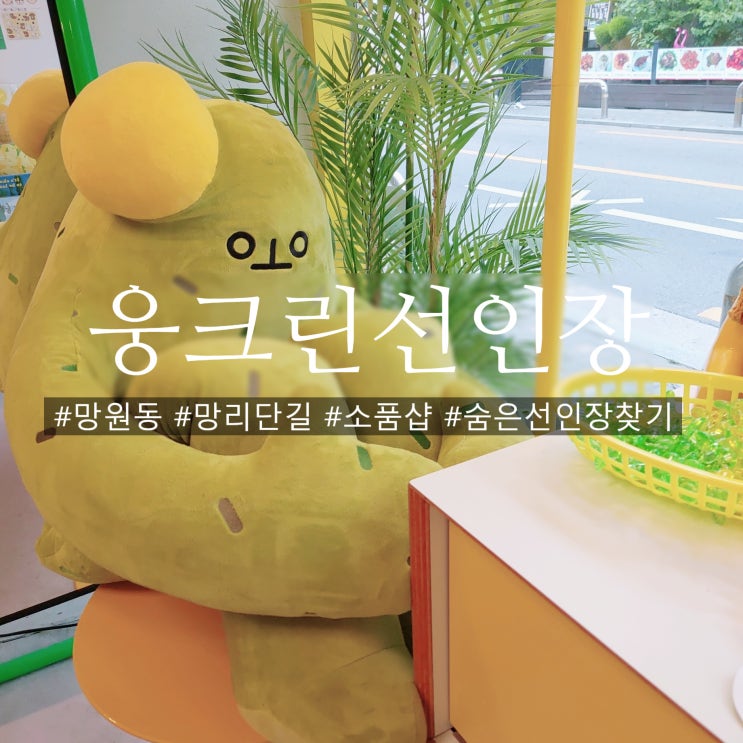  망리단길 소품샵 웅크린선인장 이 안에 반전이 있어요!!