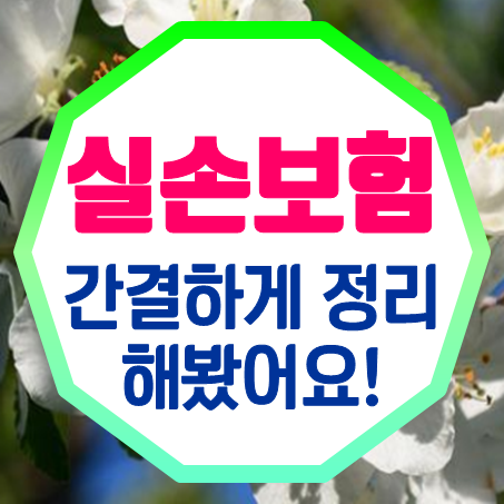  65세실손보험 추천, 간결하게 정리해 봤어요!