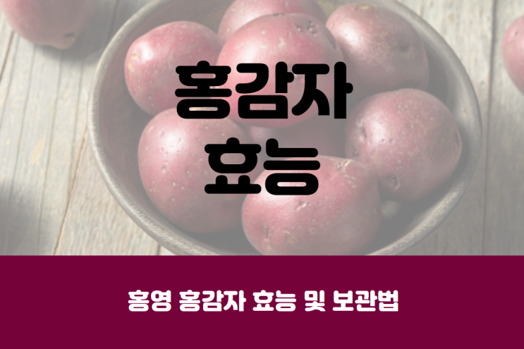  홍영 홍감자 효능 및 보관법