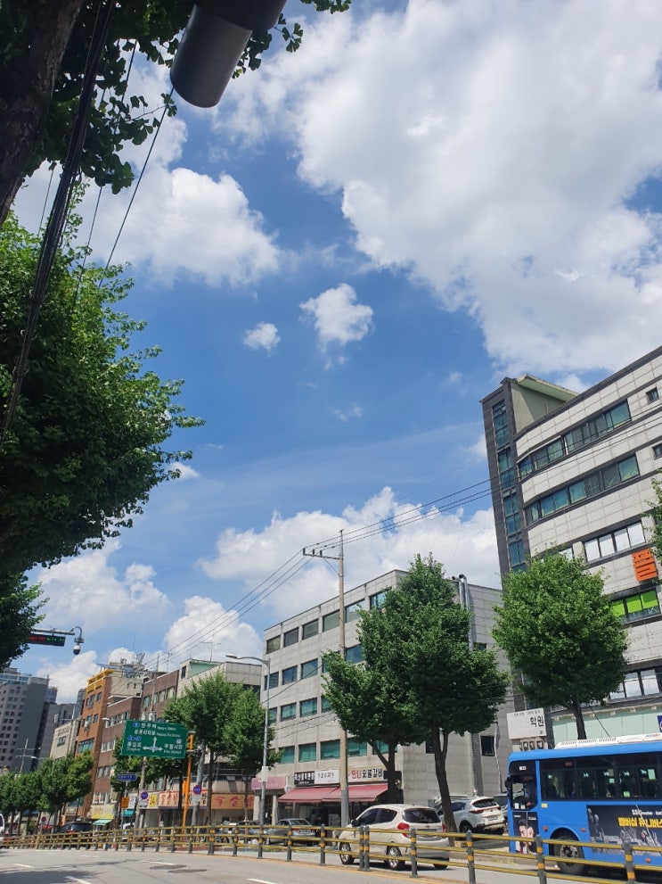  여러분 하늘 좀 보세요!!!