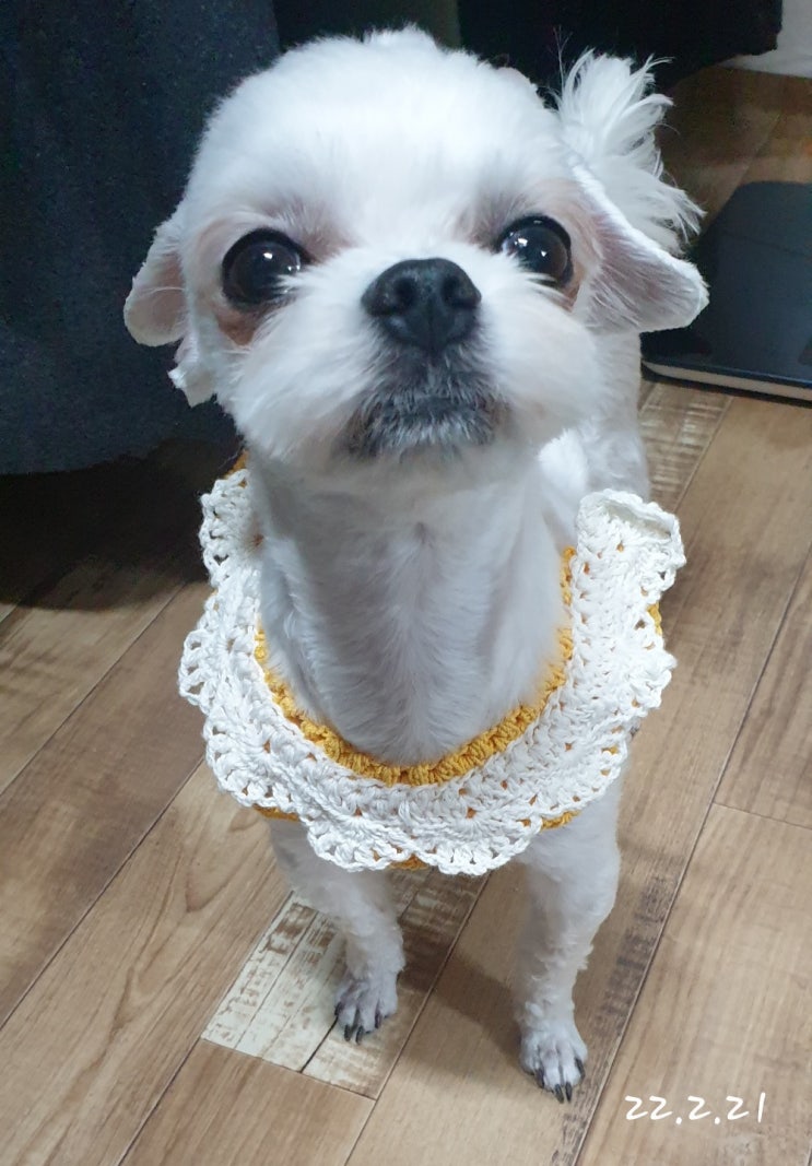  상남자의 패션