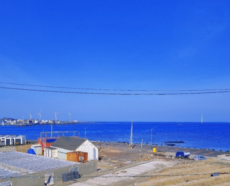  제주도1달살기에서 일년으로 인플루언서 목표