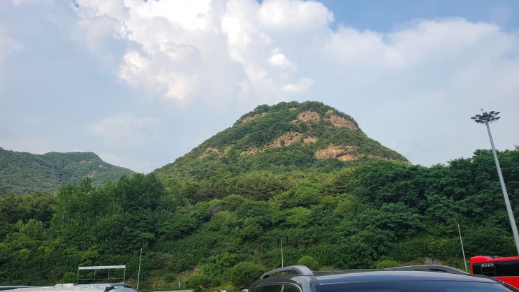  7월 첫번째 주간일기