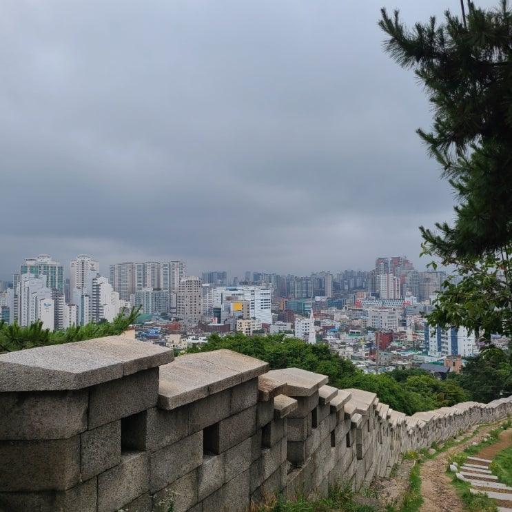 [가볼만한곳] 동대문 《한양도성 낙산구간》 성곽길 낙산공원 이화벽화마을 걷기 좋은 길