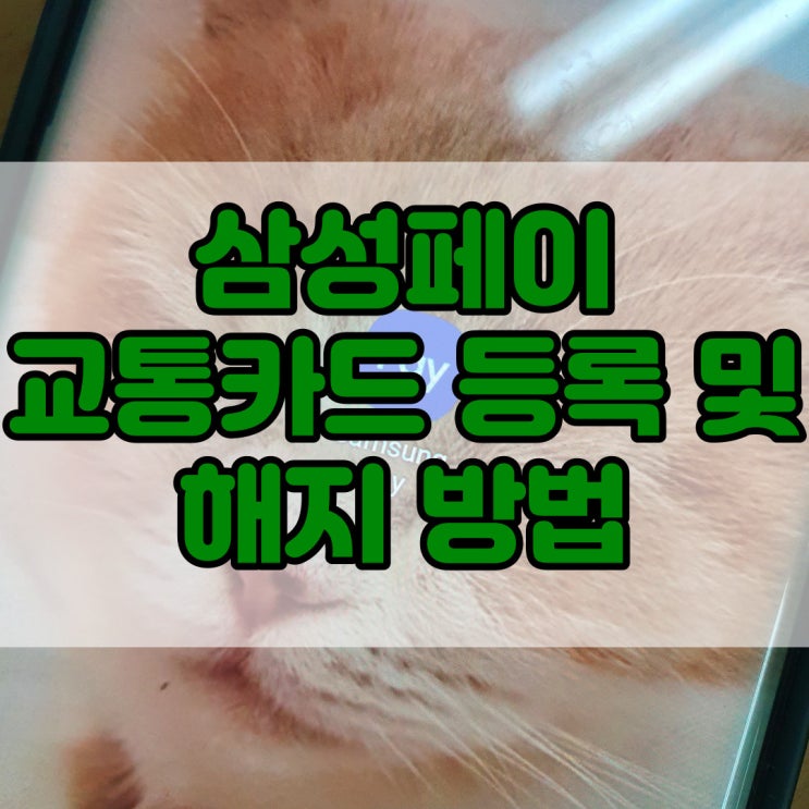  삼성페이 버스 타는법 교통카드 등록부터 환불/삭제 방법 알아보자