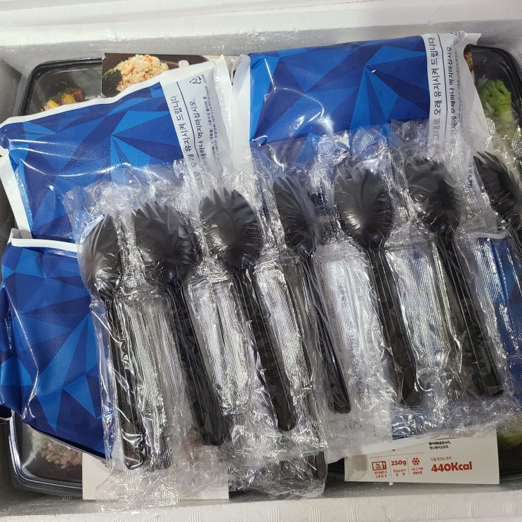  [다즐샵 다이어트 도시락] 60개쯤 먹어보면서 쓰는 내돈내산 솔직 후기,,