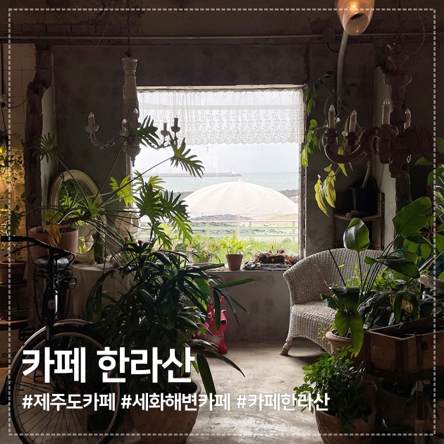  제주도 세화해변 앞, <카페 한라산> 사진맛집 인정