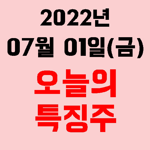  오늘의 시장 특징주 2022년 07월 01일(금)