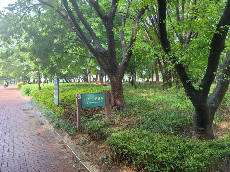  양재근린공원 산책 Ι 바닥분수, 놀이터, 언남체육센터