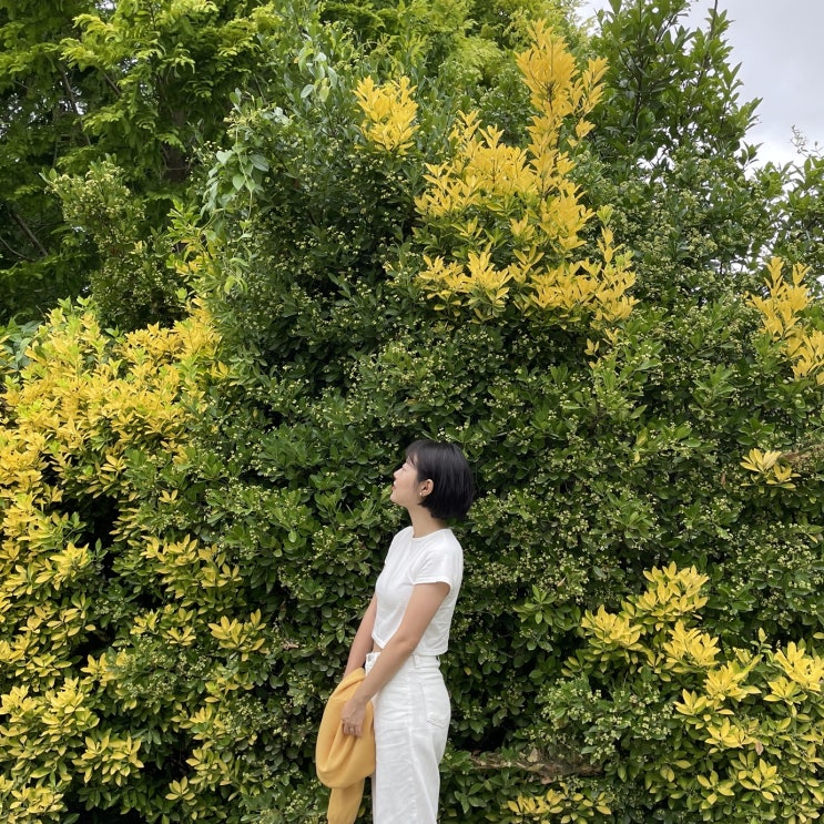  [블챌] 주간일기 챌린지 | 22.06_w4