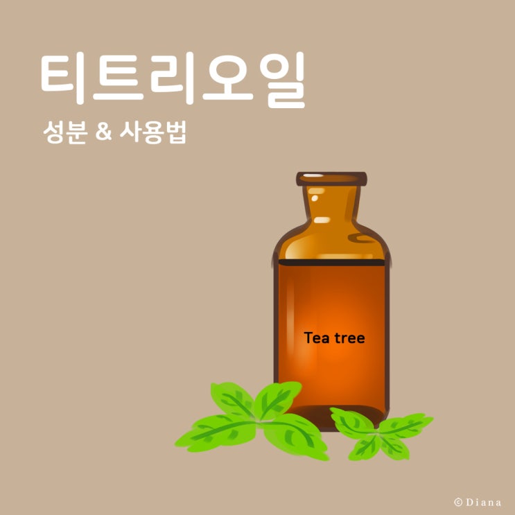 티트리오일 성분 및 사용법 아로마테라피 블랜딩 웰 티트리오일 성분 및 사용법 아로마테라피 블랜딩 웰