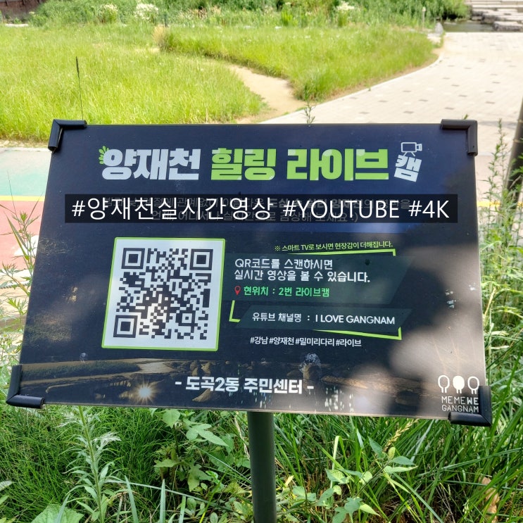  서울 양재천 4K 라이브캠 실시간영상 보는 법