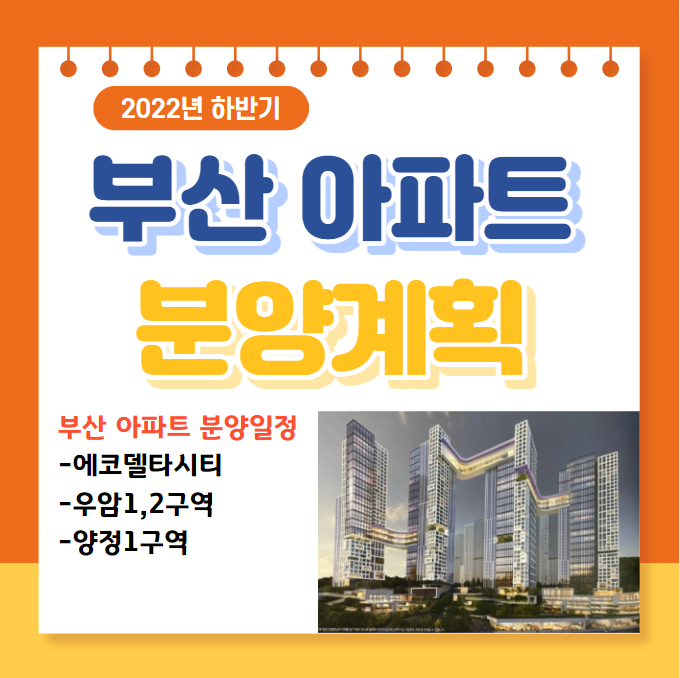 부산 고양이 분양을 결심하다