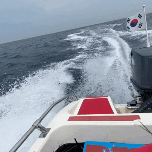  [속초(강릉)]2박3일 뚜벅이 여행(2) / 이조면옥 / 강릉 안목해변(수상보트+순두부젤라또) / 대포항 가리비구이