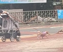  6월 넷째주 주간일기 : 올해도 반이 훌쩍 지났다