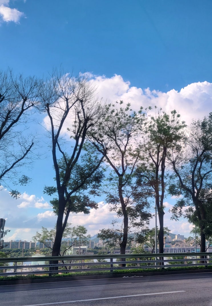  [주간일기 챌린지] 블챌 일기 - 오랜만에 맑은 하늘, 자꾸만 찍고 싶어요~