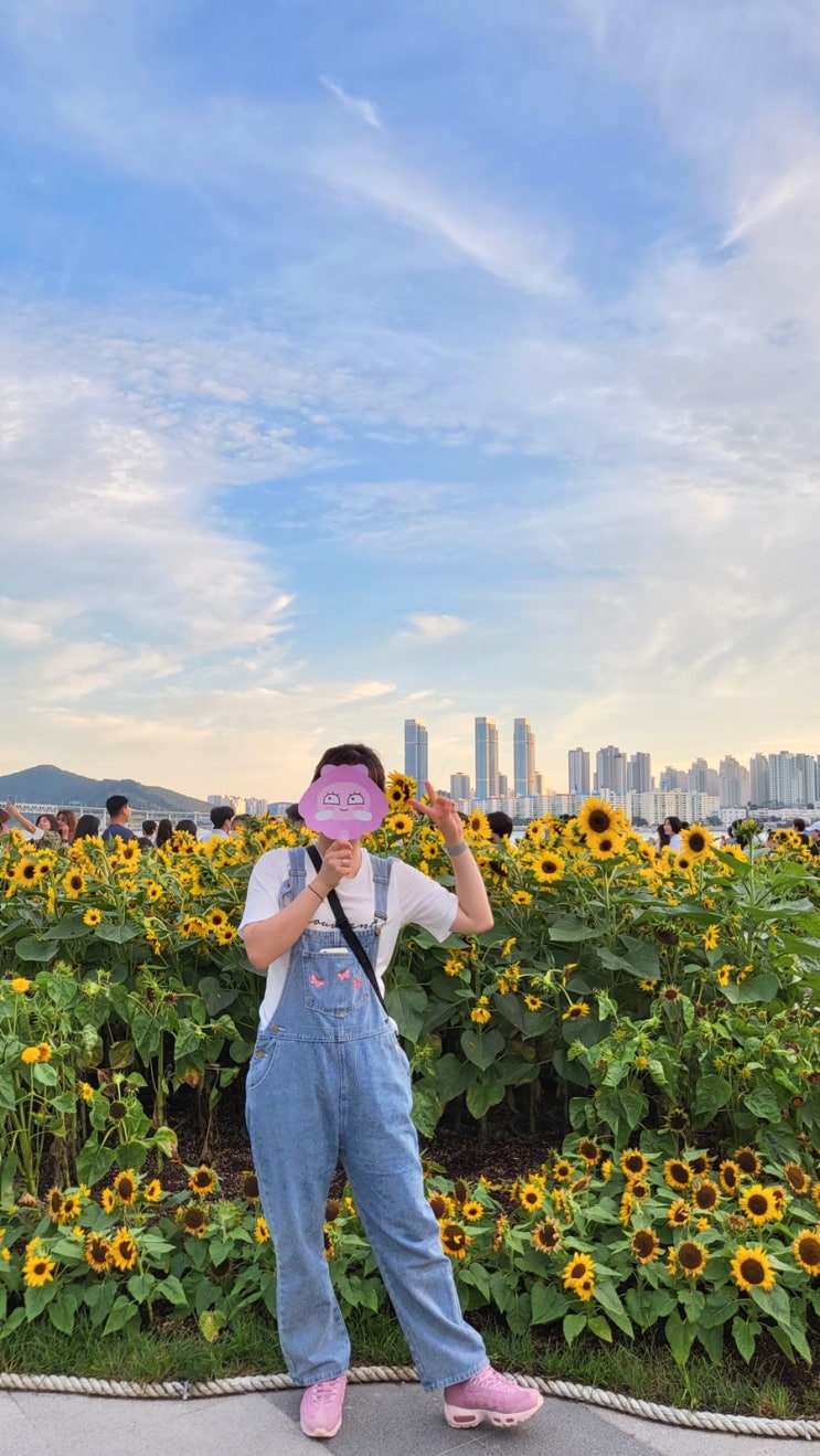  220702 :: 호메이켄라멘 / 롤링브루잉카페 / 당구대통철판삼겹살 / 광안리해바라기 / 드론쇼 / 포켓몬고