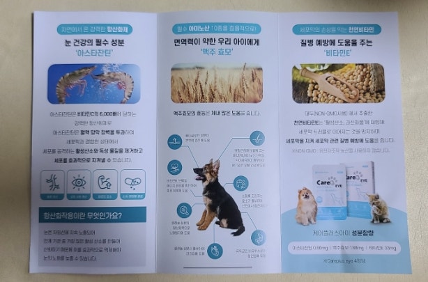  케이플러스아이 반려동물 눈영양제 코비눈관리하기 !!