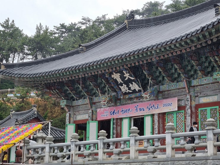 부산 기장가볼만한곳 해동용궁사 비올 때도 멋진 곳 부산 기장가볼만한곳 해동용궁사 비올 때도 멋진 곳