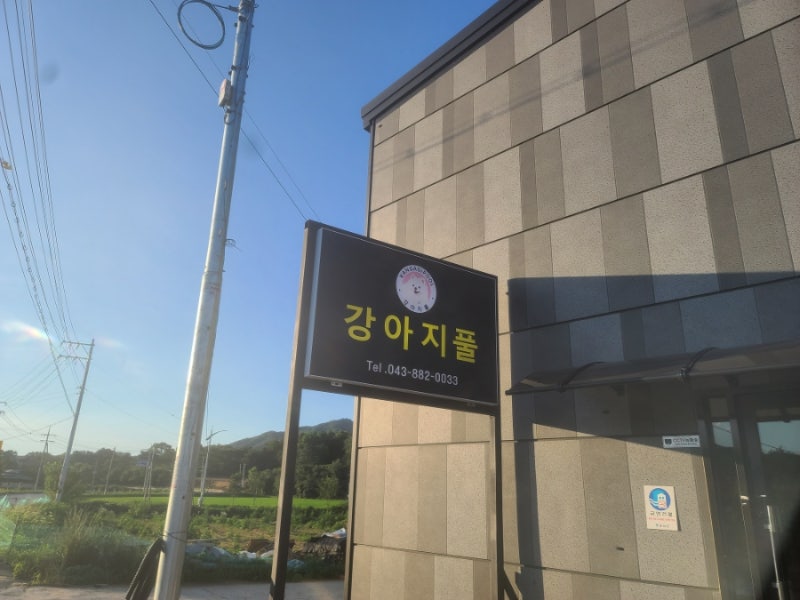 강아지풀