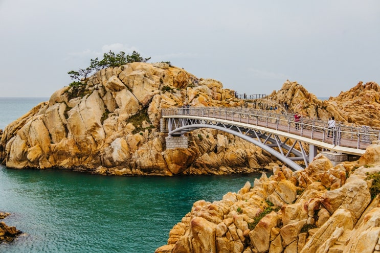 울산 가볼만한곳 대왕암공원 출렁다리 무료 관광지 추천 울산 가볼만한곳 대왕암공원 출렁다리 무료 관광지 추천