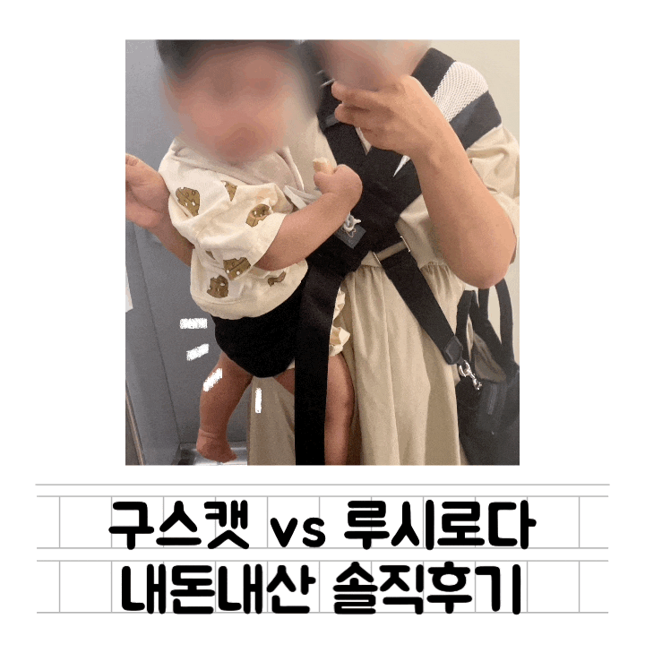  [내돈내산] 루시로다 사이드 힙시트 vs 구스켓 안아요2 5가지 포인트 비교 / 솔직후기