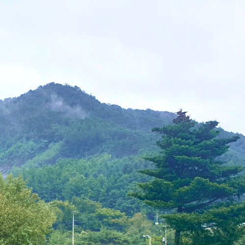  적게 먹어도 살이 찌는 이유 있었네~