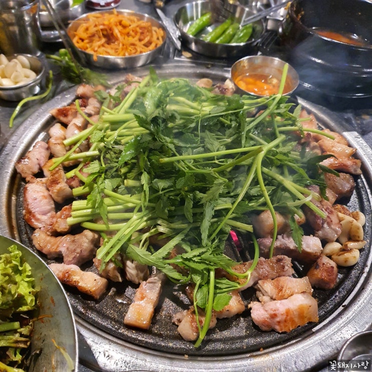  백석역 미나리 삼겹살 맛집 탐라돗 후기