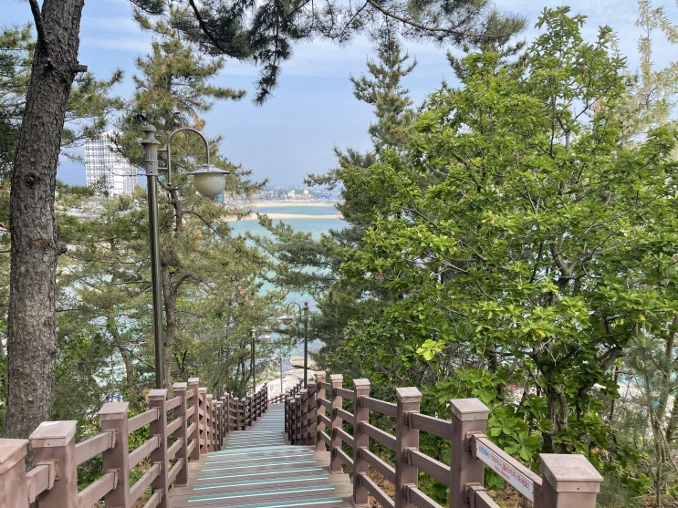 속초 8경 중 제1경 속초등대 전망대 아침산책하기