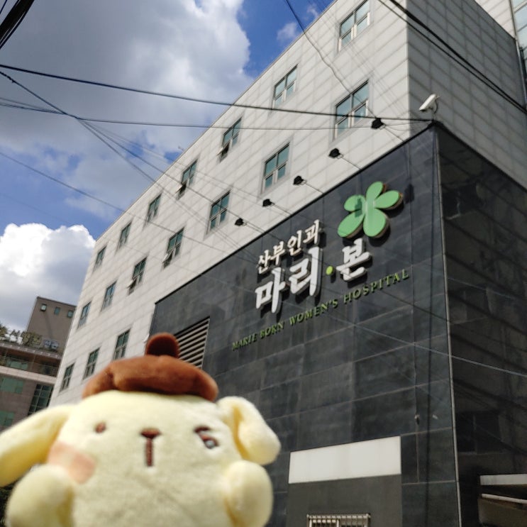 구리시 산부인과 여성의원 마리본에 다니는 이유+병원 소개하기 구리시 산부인과 여성의원 마리본에 다니는 이유+병원 소개하기