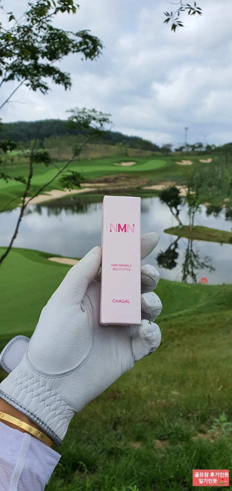  멀티밤 추천 (샤갈코스메틱 NMN 링클 멀티 스틱)