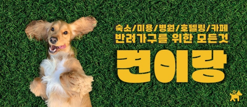 사진 7
