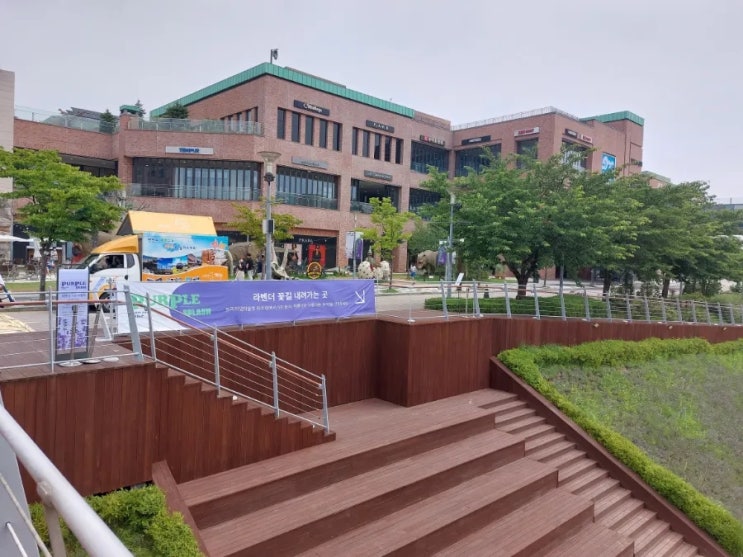 파주 롯데프리미엄 아울렛 파주점 파주라기파크 라벤더축제 파주 롯데프리미엄 아울렛 파주점 파주라기파크 라벤더축제