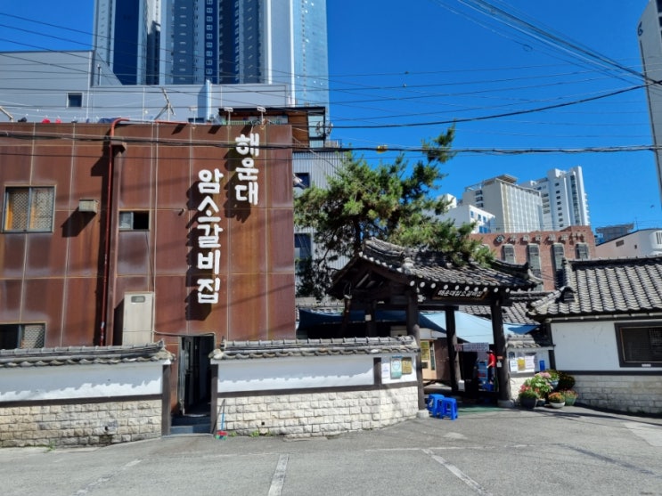2022.06 부산 먹부림 투어 2022.06 부산 먹부림 투어