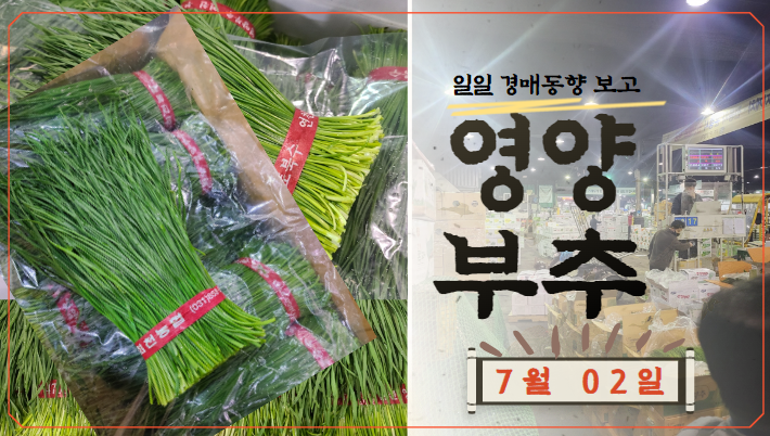  [경매사 일일보고] 가락시장 7월 02일자 "영양부추" 경매동향을 살펴보겠습니다!