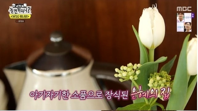 놀면 뭐하니 윤은혜, WSG 워너비 시소 팀 위해 카페같은 집 공개 (나이 인스타)