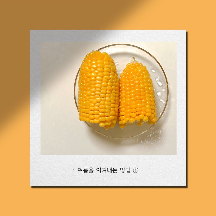  7-1. 여름을 이겨내는 방법