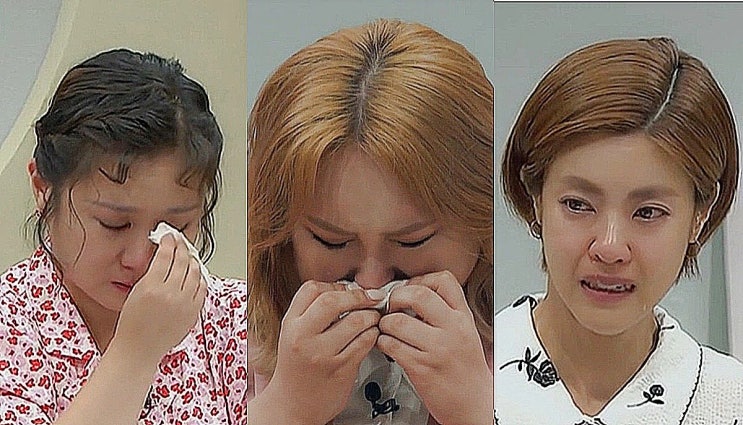 트랜스젠더 유튜버 풍자, '오은영의 금쪽상담소'에서 고단했던 삶 이야기 하며 오열했다 트랜스젠더 유튜버 풍자, '오은영의 금쪽상담소'에서 고단했던 삶 이야기 하며 오열했다