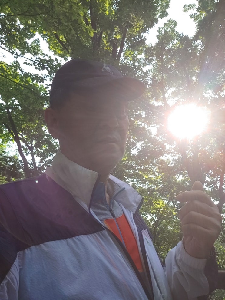 오늘 아침 설봉산(소방로)에서 본 햇살과 어울림 오늘 아침 설봉산(소방로)에서 본 햇살과 어울림