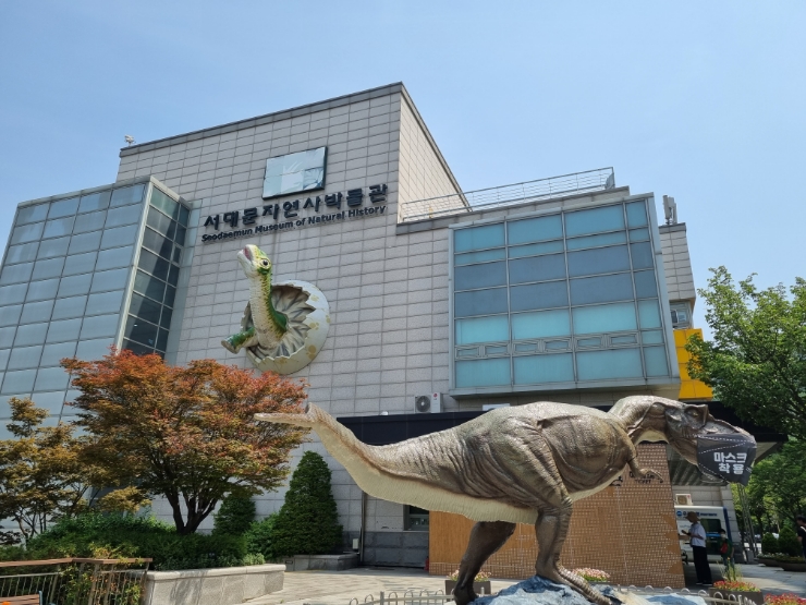 서울 공룡박물관, 서대문자연사박물관. (+ 사전예약, 북파크 이용법 ) 서울 공룡박물관, 서대문자연사박물관. (+ 사전예약, 북파크 이용법 )