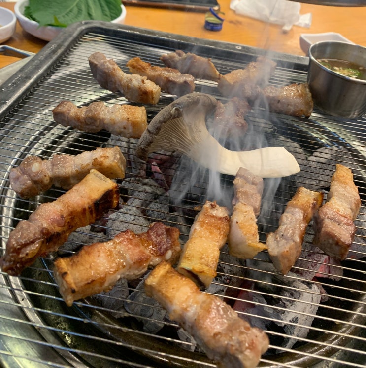  [제주 서귀포] 로컬 도민 추천 찐 맛집, 도내 오겹살 최강자 동백화로 내돈내산 후기