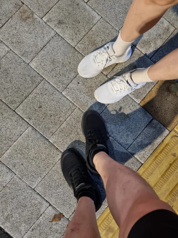  발이편한 스케쳐스 아치핏 재구입기 (내돈내산으로 3개째삼)