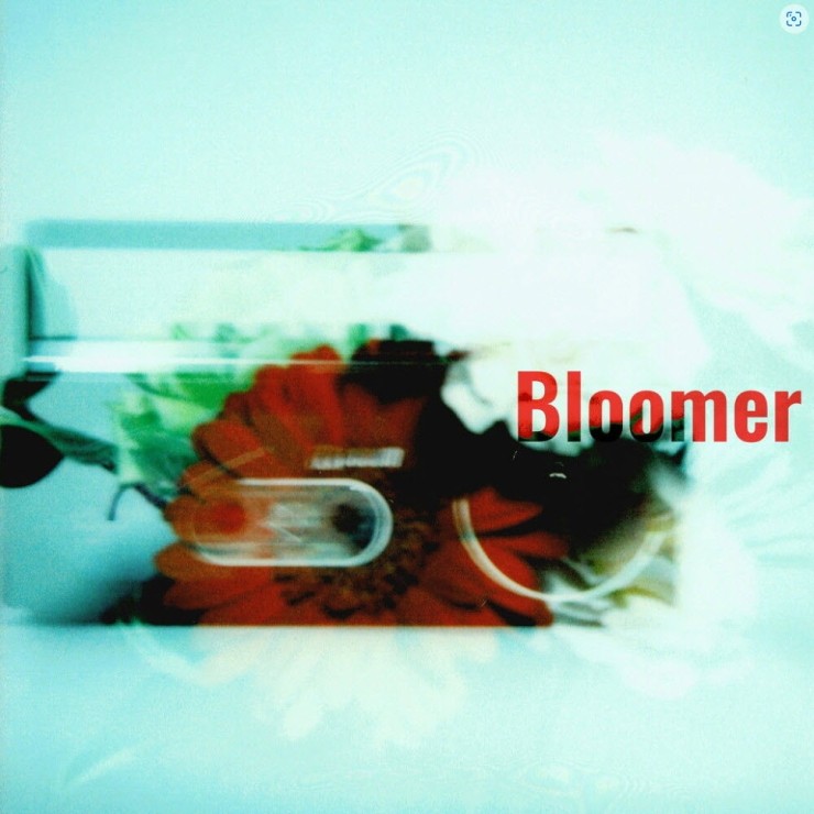 호아 - Bloomer [노래가사, 듣기, Audio]